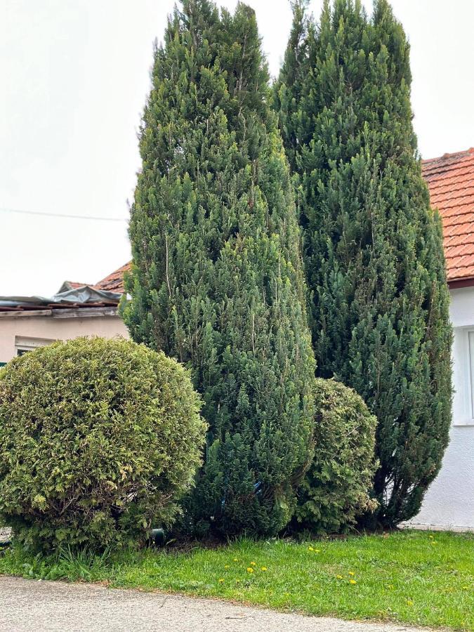 Apartmani Emily & Jully Nikšić Exteriér fotografie
