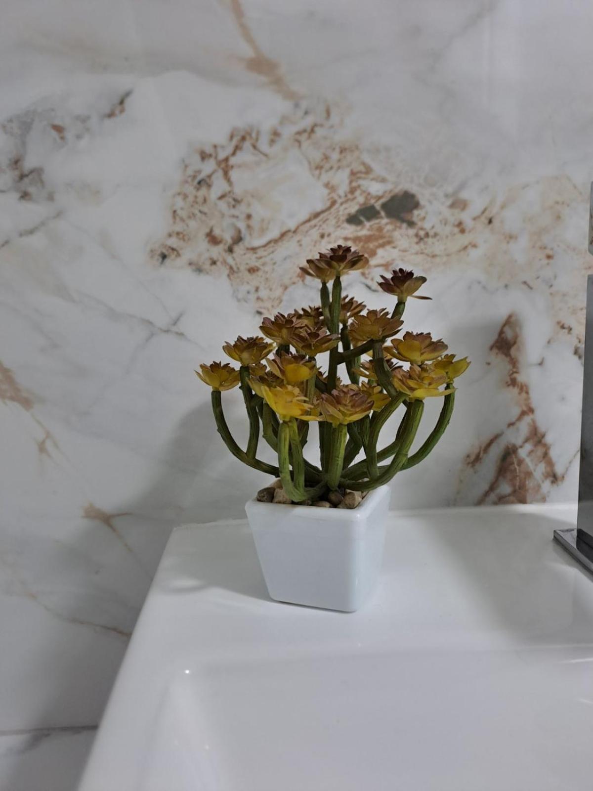 Apartmani Emily & Jully Nikšić Exteriér fotografie
